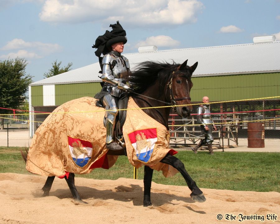 The Jousting Life The Jousting Horses of "The Grand Tournament of St
